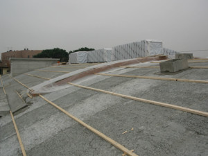 DSCN1059